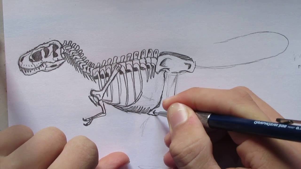 1280x720 How To Draw A T. Rex Skeleton. Danny The Dinosaur Drawer - Dinosaur Bones Sketch