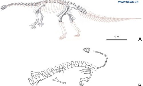 500x300 New Dinosaur Species Fossil Discovered In China - Dinosaur Bones Sketch