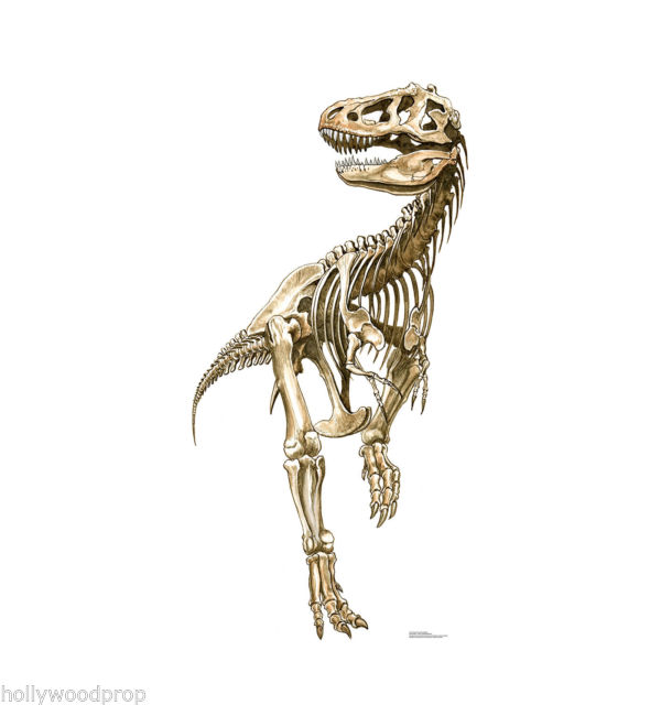 600x640 Tyrannosaurus T Rex Dinosaur Skeleton Bones Cardboard Standup - Dinosaur Bones Sketch