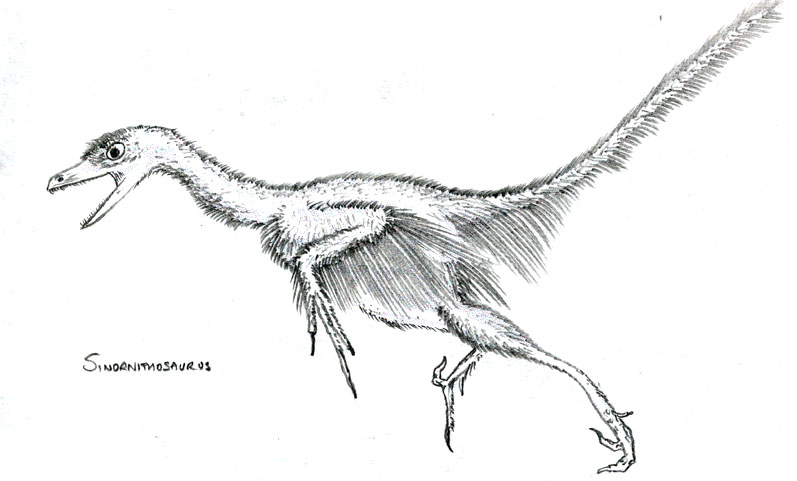 797x481 Dinosaur Illustrations Artwork - Dinosaur Pencil Sketch