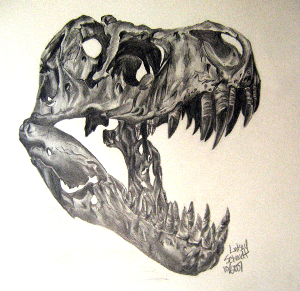 960x934 Dinosaur Sketch - Dinosaur Pencil Sketch