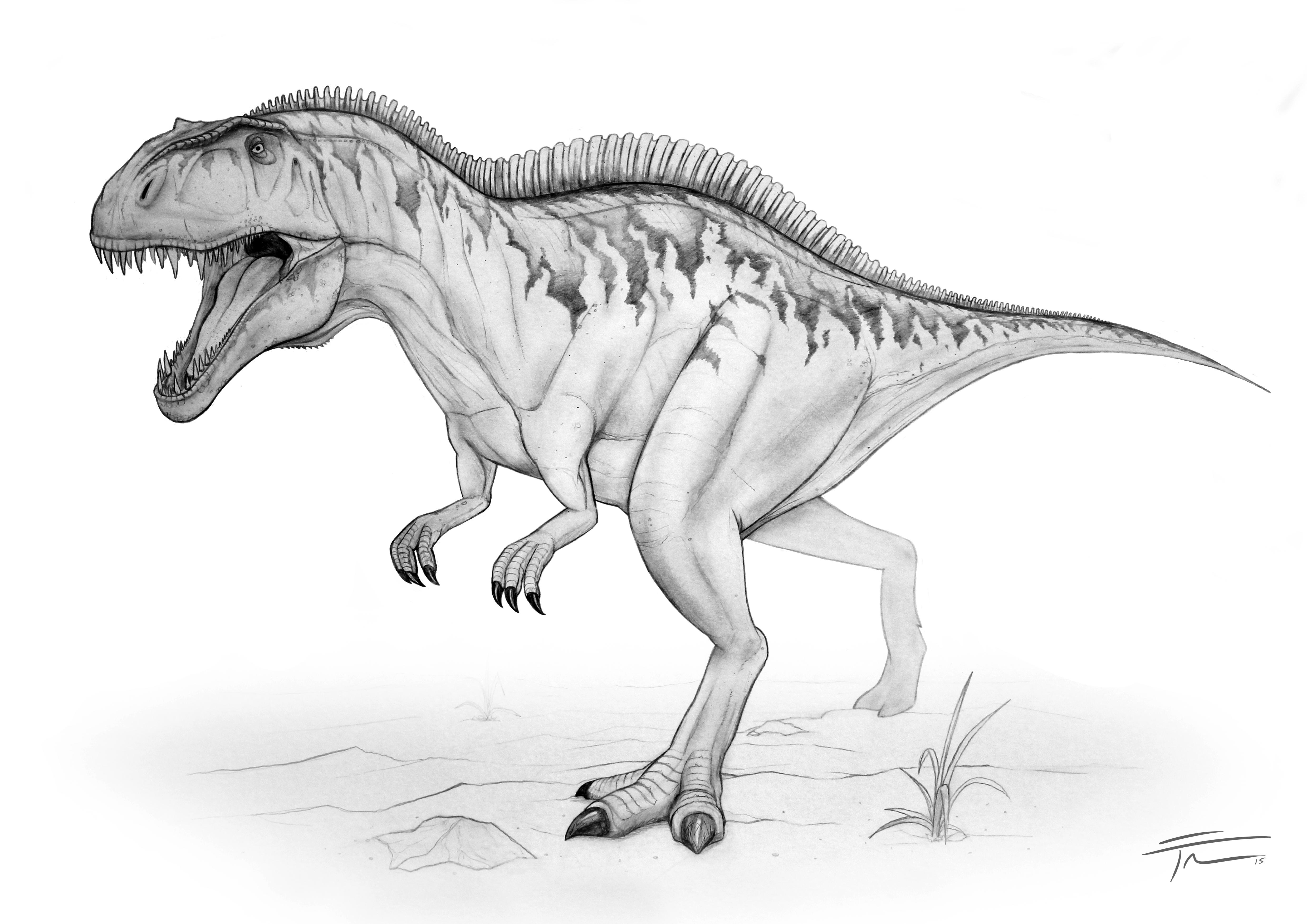 4961x3508 Acrocanthosaurus Pencil Sketch Stan Winston School Of Character - Dinosaur Pencil Sketch