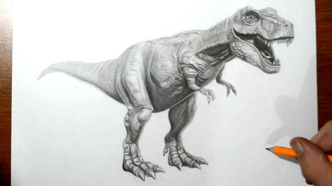 1280x720 How To Draw A T Rex Dinosaur - Dinosaur Pencil Sketch