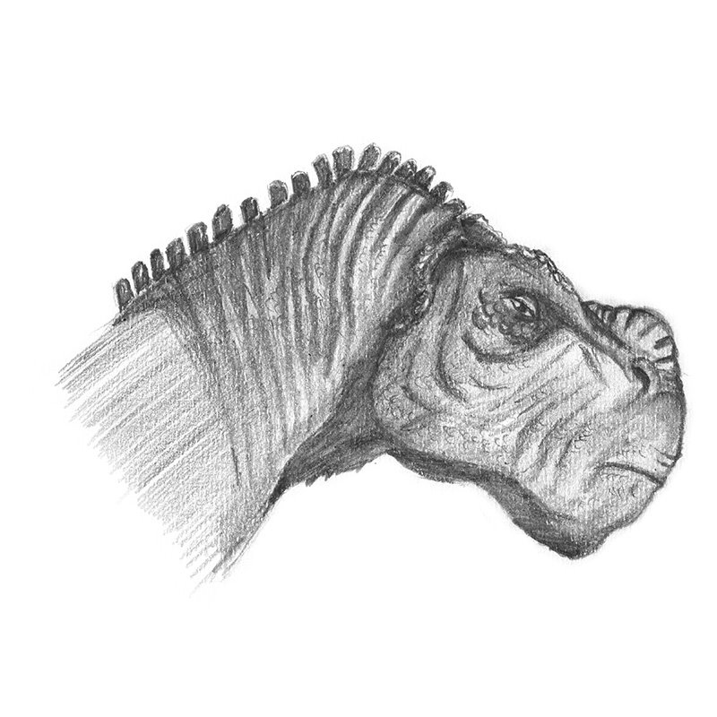 800x800 Kron From Disney Dinosaur Pencil Drawing - Dinosaur Pencil Sketch