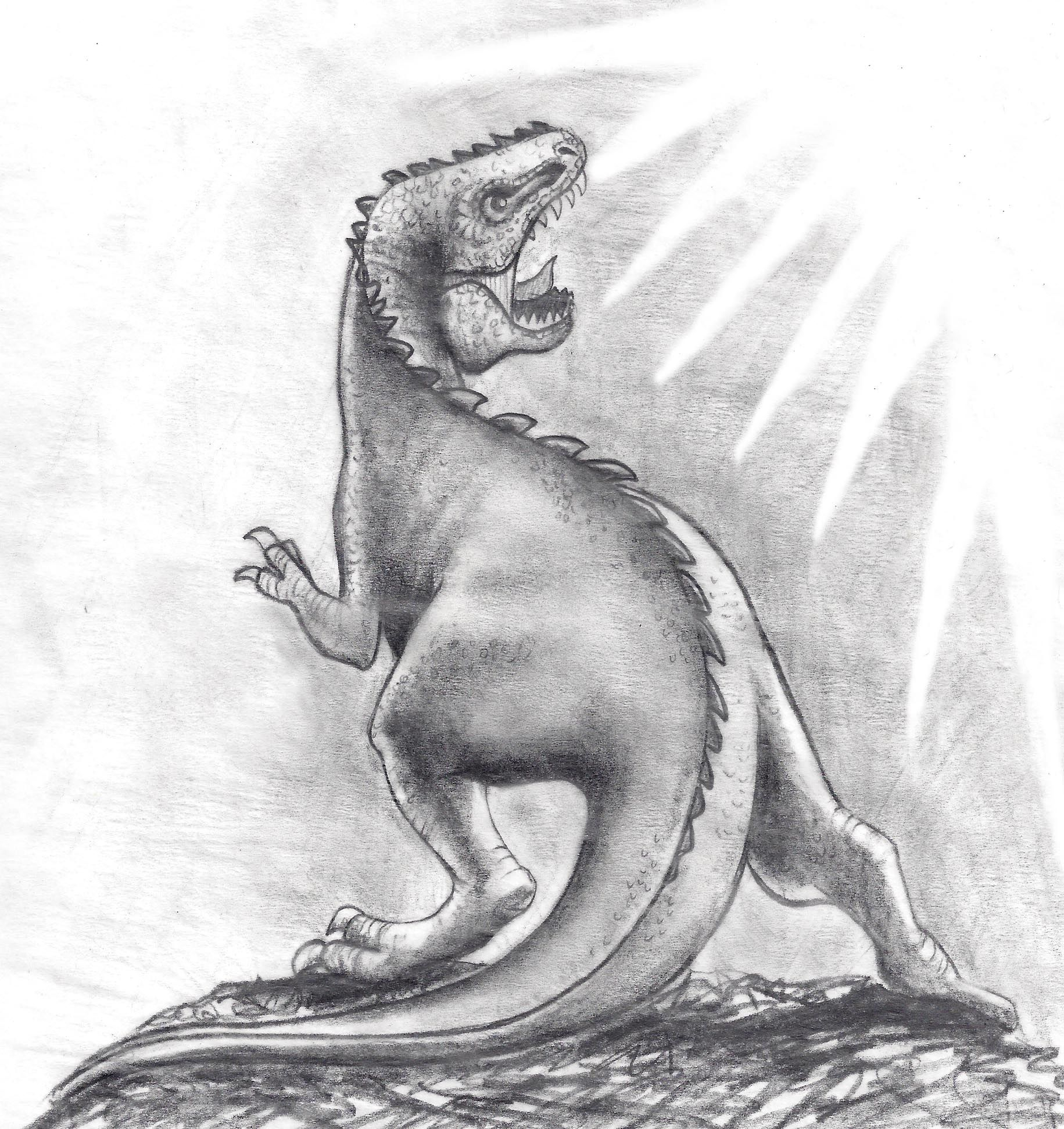 1831x1944 Pencil Sketch Of Dinosaur How 2 Draw Stuff - Dinosaur Pencil Sketch