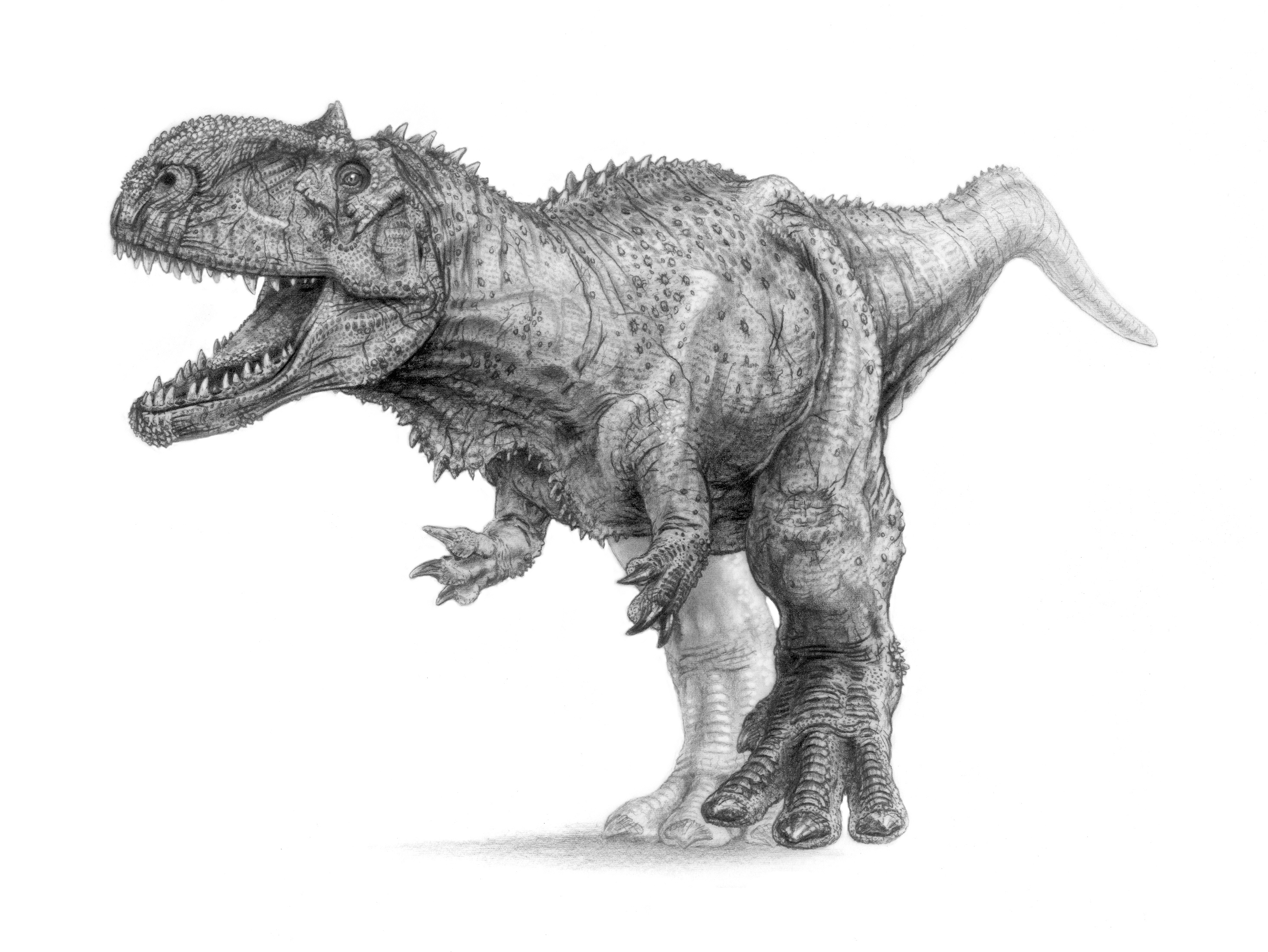 2937x2205 Pencil Sketch Of Dinosaur Pencil Sketch Of Dinosaur - Dinosaur Pencil Sketch