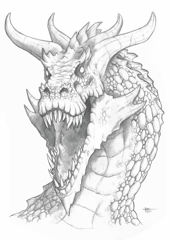 570x806 Carnotaurian Dragon Dinosaur 9x12 Original Pencil Sketch - Dinosaur Pencil Sketch