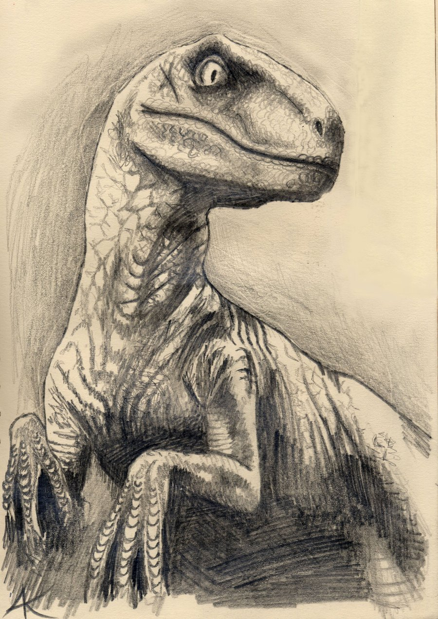 900x1271 Pencil Sketches Of Dinosaurs - Dinosaur Pencil Sketch