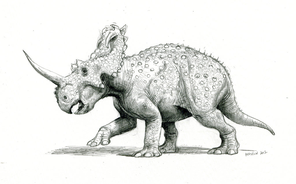 1024x637 Centrosaurus By Pheaston - Dinosaur Pencil Sketch