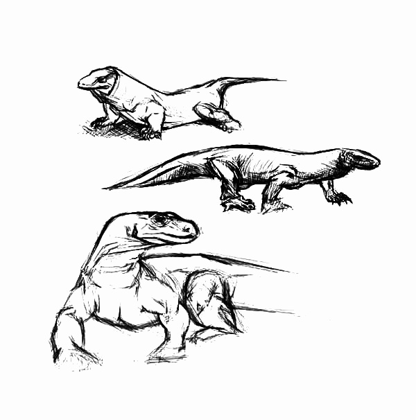 600x606 Dinosaur Drawings In Pencil New Image Gallery Drawing Dinosaurs - Dinosaur Pencil Sketch