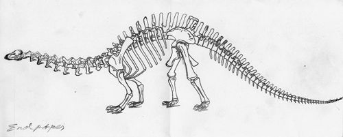 500x201 Endpapers Dino Use.jpg Clockblock - Dinosaur Skeleton Sketch