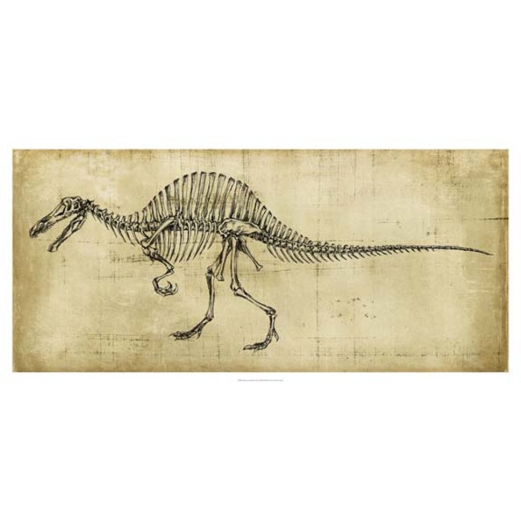 1024x1024 The Agbor Print Depicts A Sketch Of A Dinosaur Skeleton In - Dinosaur Skeleton Sketch