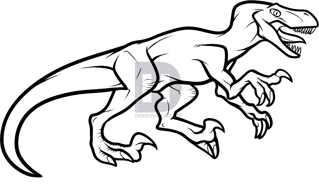 1048x611 How To Draw A Velociraptor Dinosaur, Step By Step, Drawing Guide - Dinosaur Sketch