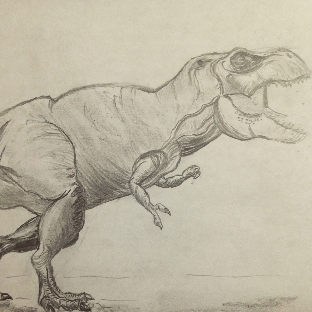 1080x1080 Dinosaur Sketch That Took Me About 45 Minutes. - Dinosaur Sketch Images
