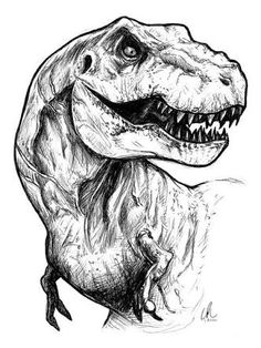 236x314 Dinosaur Sketch. Pretty Sick. Art Of The World. - Dinosaur Sketch Images