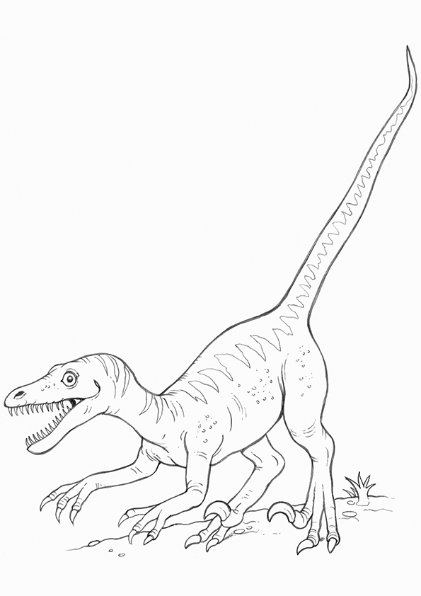 595x842 Free Printable Dinosaur Coloring Pages For Kids - Dinosaur Sketch Images