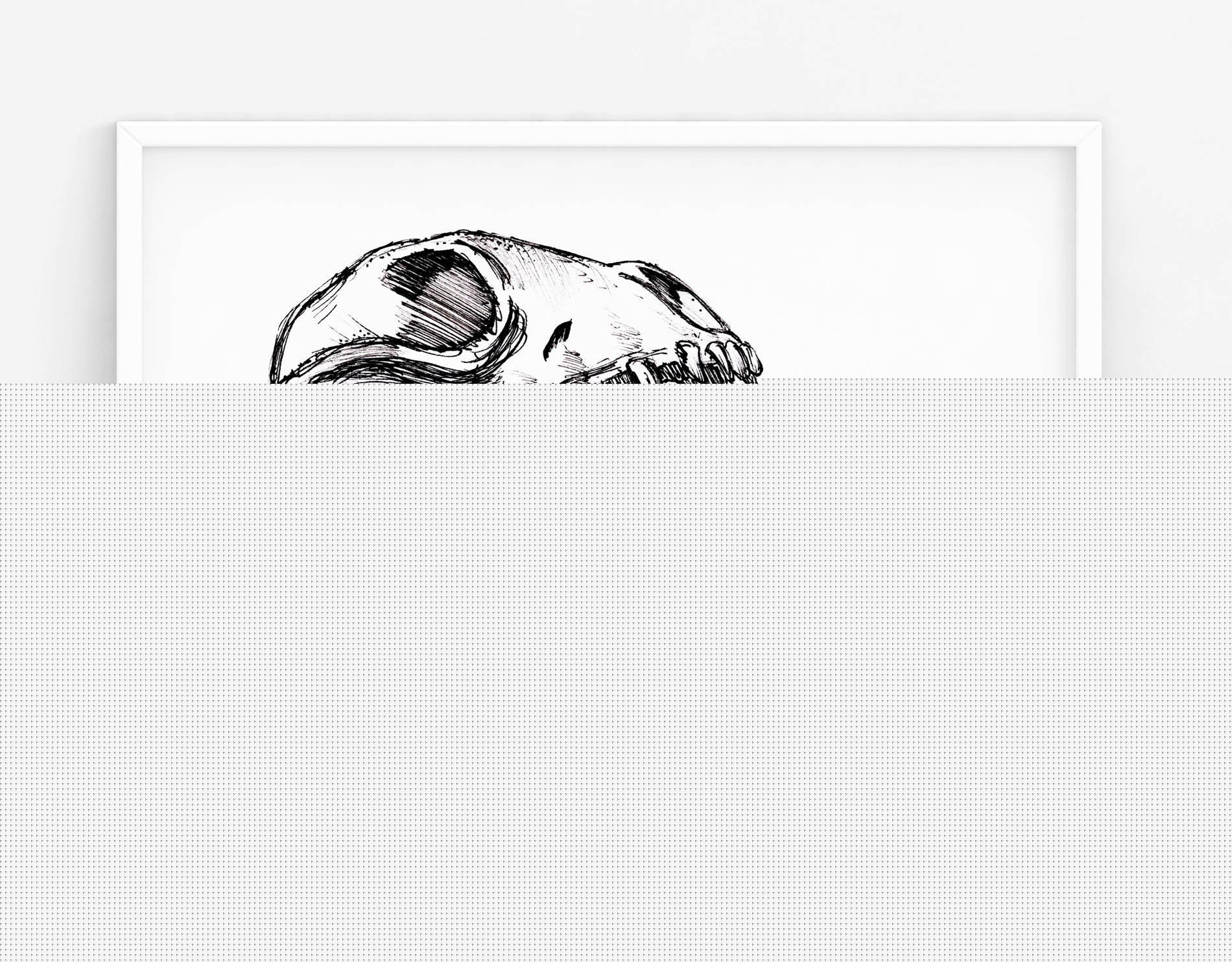 1900x1484 Dinosaur Skull Sketch Etsy - Dinosaur Skull Sketch