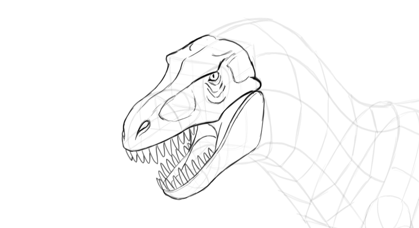 850x463 How To Draw A T Rex Dinosaur - Dinosaur Skull Sketch