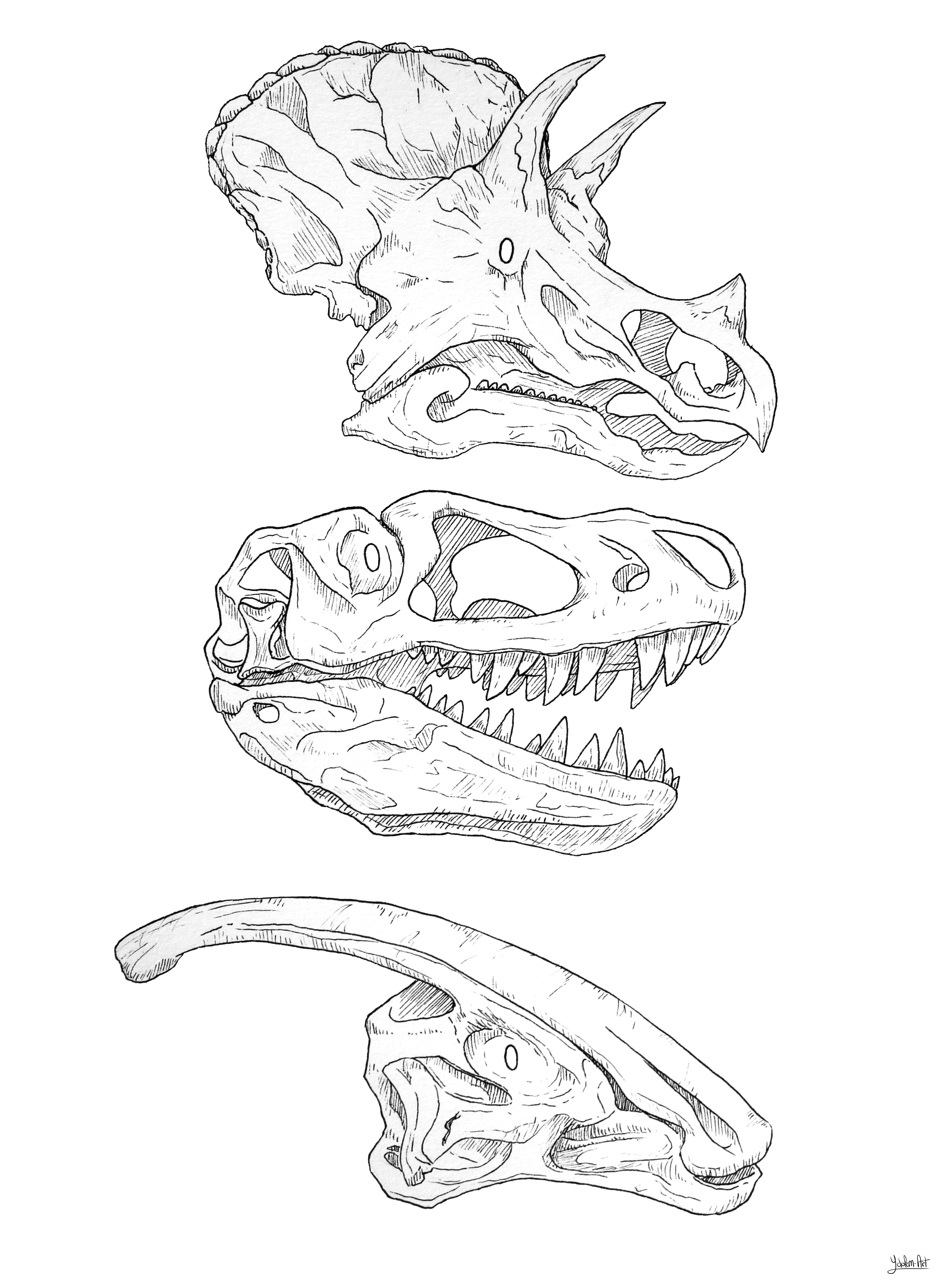 3200x4339 Dinosaur Skull 2016 - Dinosaur Skull Sketch