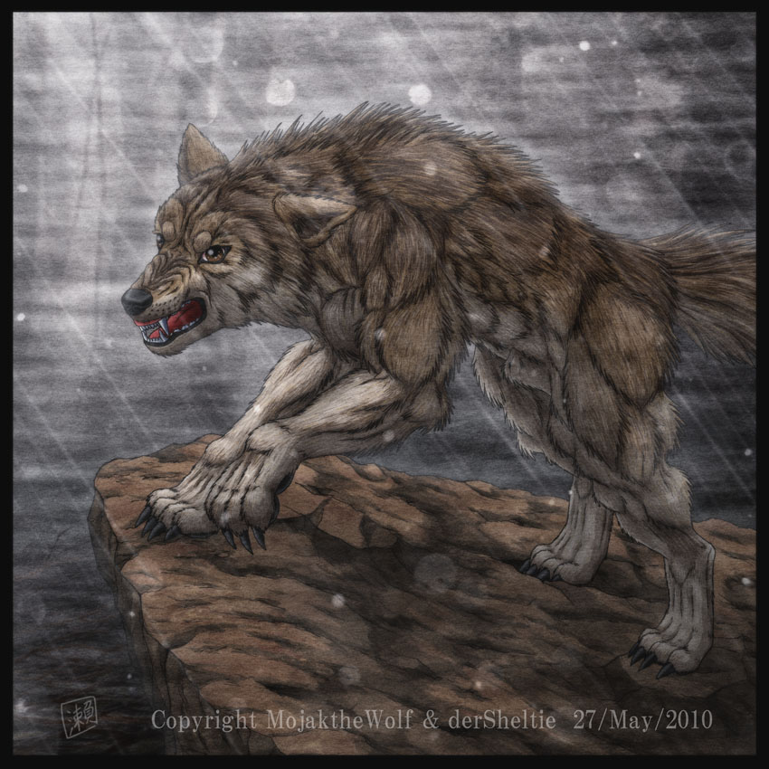 850x850 Dire Wolf - Dire Wolf Sketch