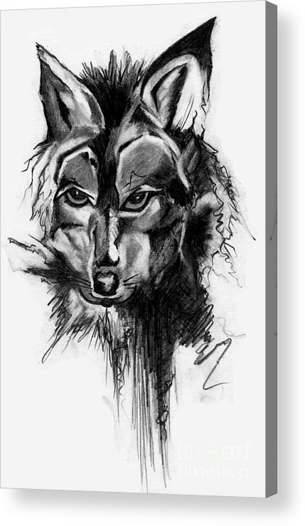 429x740 Dire Wolf Acrylic Print By Ken Nguyen - Dire Wolf Sketch
