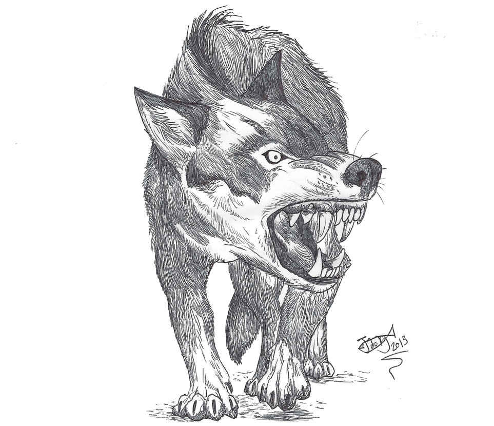 963x830 Dire Wolf By Hodarinundu - Dire Wolf Sketch