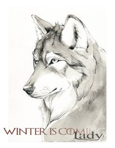 236x305 63 Best My Favorite Dire Wolf (Lady) Sky Images - Dire Wolf Sketch