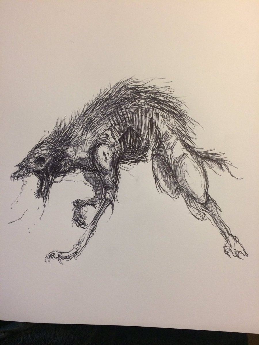 900x1200 Hubert Griffe On Twitter Inktober Dire Wolf Quick Sketch - Dire Wolf Sketch