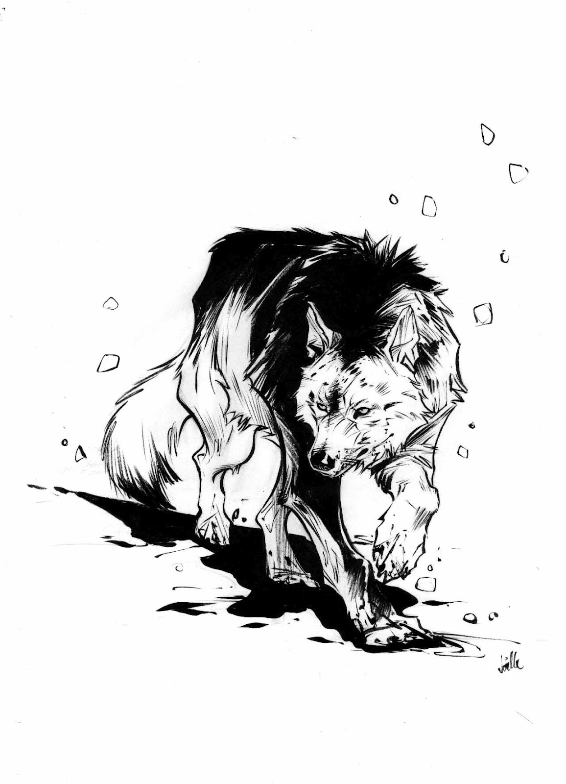 1156x1600 Jones Art Blog Dire Wolf Warm Up Sketch - Dire Wolf Sketch