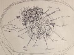 236x177 Famous Chefs Dish Sketches - Dishes Sketch