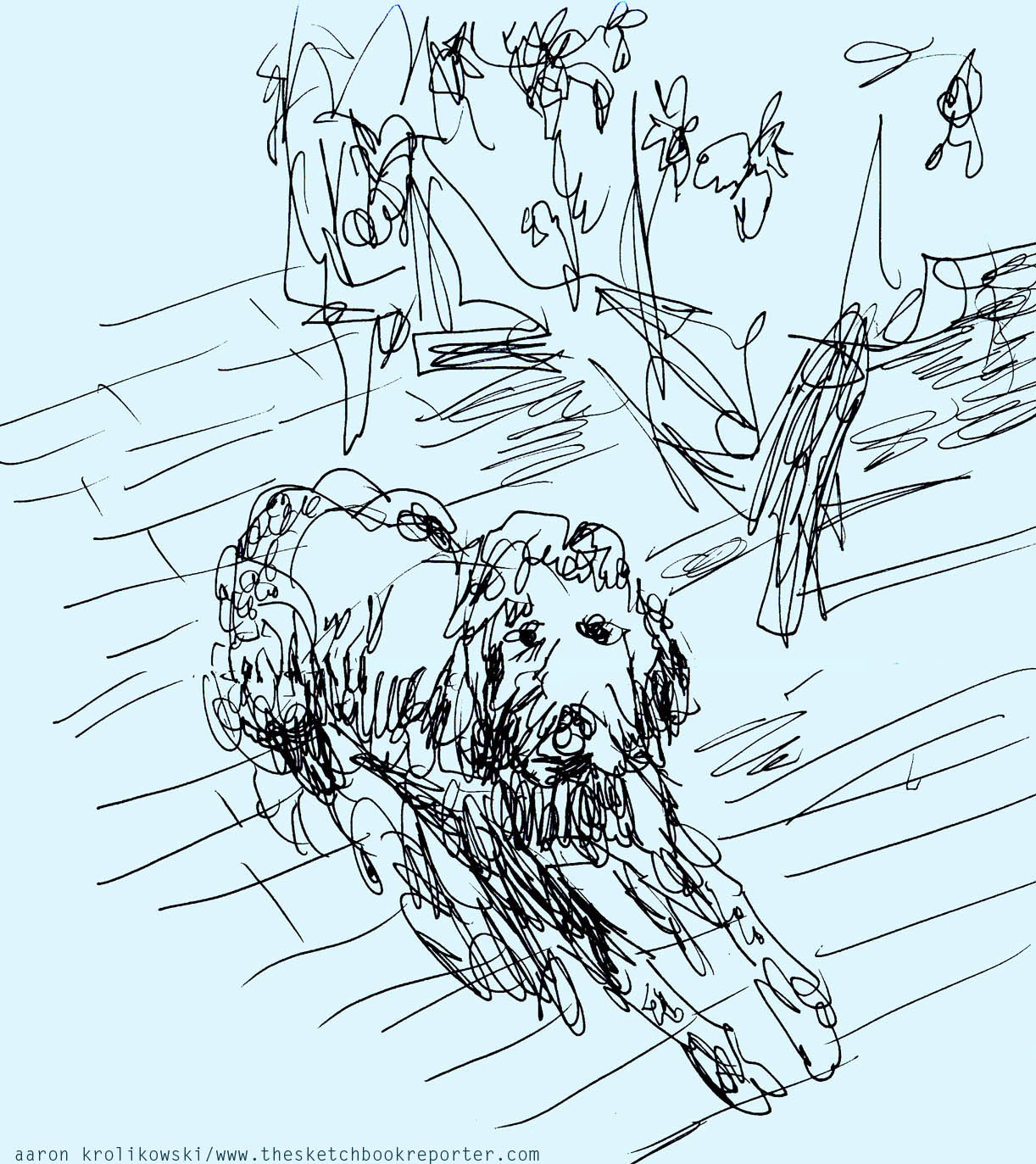 1222x1373 Fringe Arts Dishwasher The Sketch Book Reporter - Dishwasher Sketch