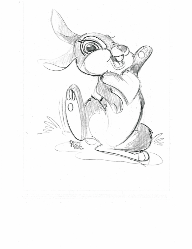 Disney Bambi Sketch at PaintingValley.com | Explore collection of ...