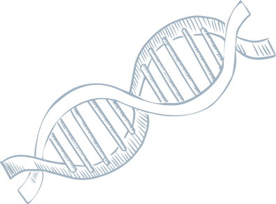 396x293 A Newfangled Jungle Tour Guide - Dna Sketch