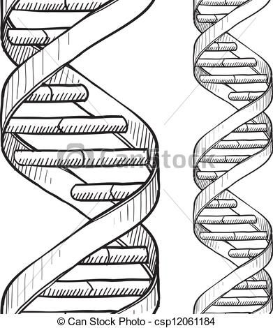 391x470 Pencil Drawing Dna Helix Dna Art In 2018 Dna - Dna Sketch