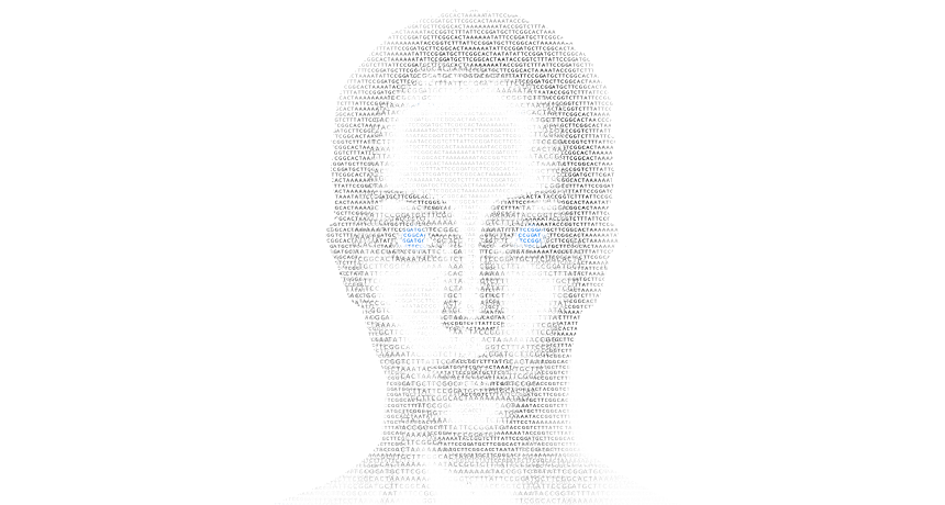 860x460 Can Dna Predict A Face Science News - Dna Sketch