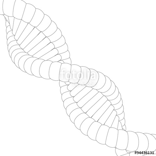 500x500 Sketch The Structure Of Dna Stock Image And Royalty Free Vector - Dna Structure Sketch