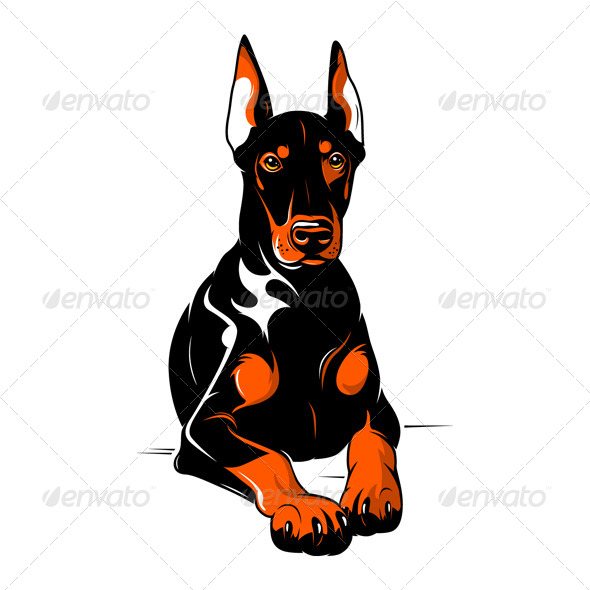 590x590 Doberman Pinscher. Cartoon Illustration By Rottee Graphicriver - Doberman Sketch