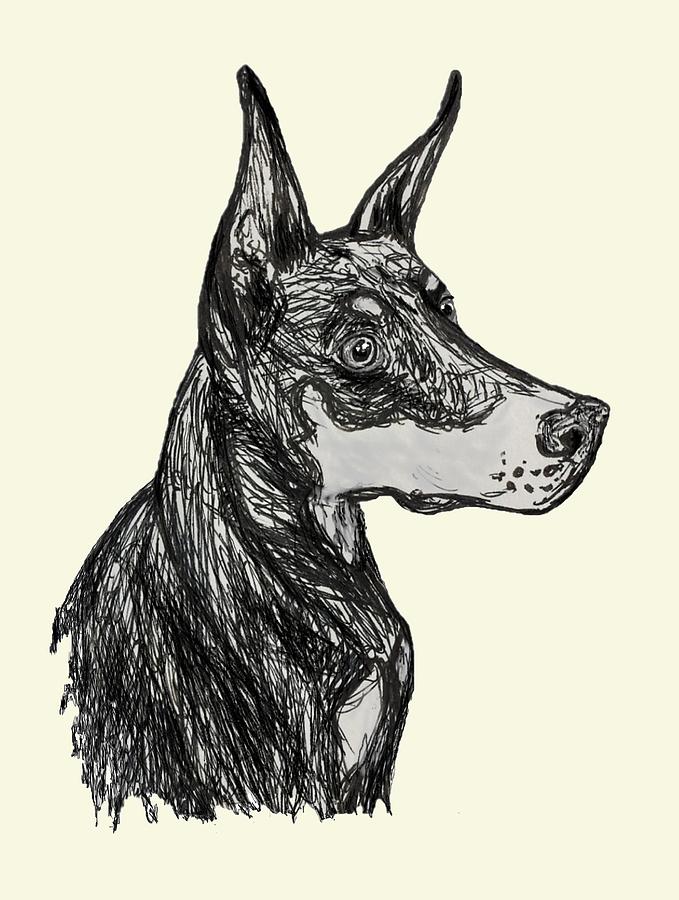 Doberman Sketch at PaintingValley.com | Explore collection of Doberman ...
