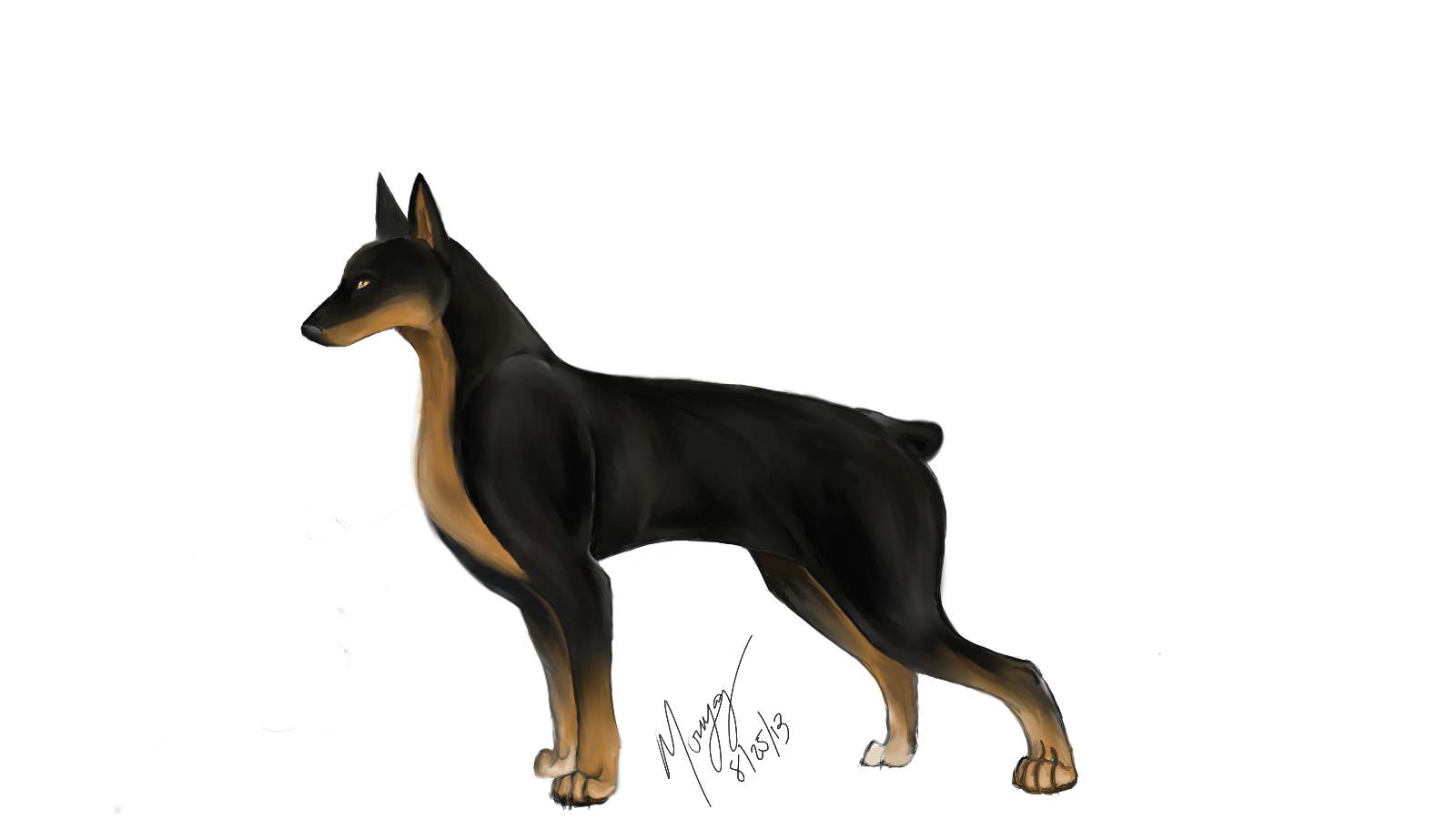 1600x900 Doberman Sketch Weasyl - Doberman Sketch