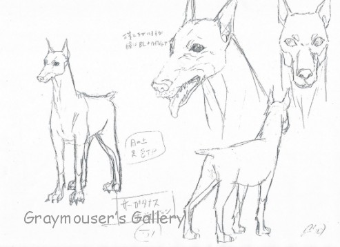 493x358 Doberman Sketch - Doberman Sketch