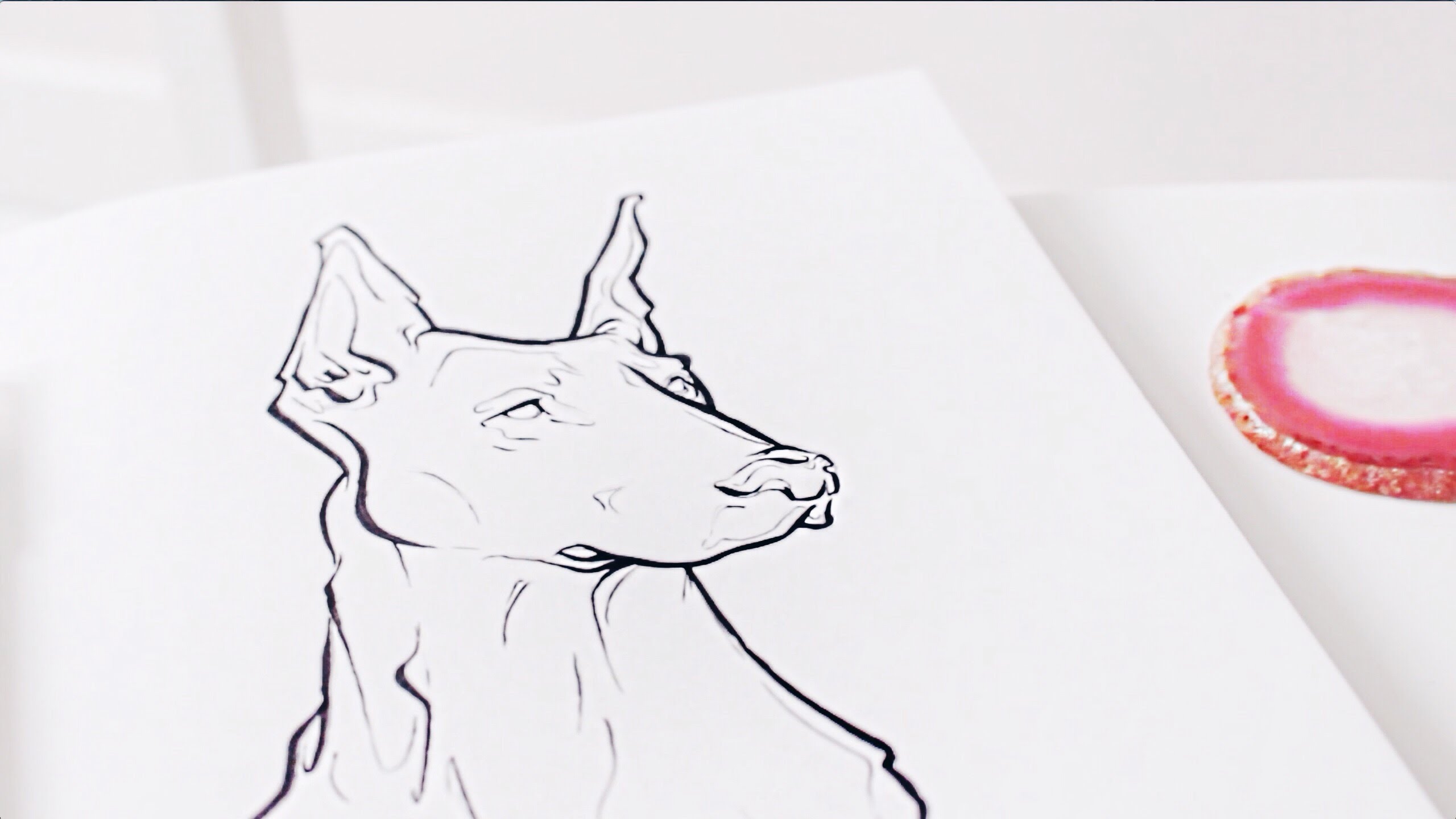 2560x1440 Doberman Illustration Speed Sketch Semiskimmedmin - Doberman Sketch