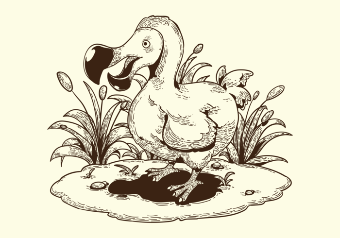700x490 Free Hand Drawn Dodo Bird Vectors - Dodo Bird Sketch