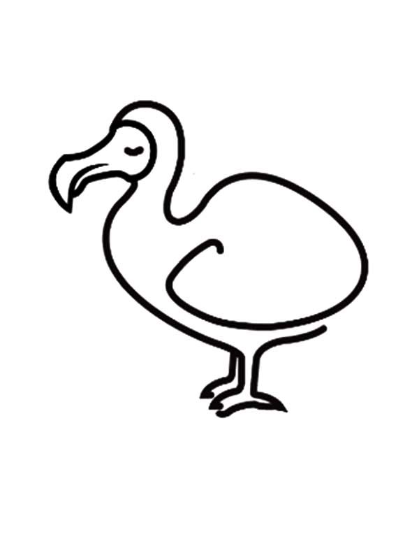 600x801 How To Draw Dodo Bird Coloring Pages - Dodo Bird Sketch
