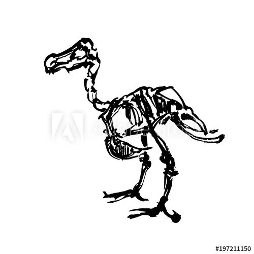 500x500 The Skeleton Of Extinct Dodo Bird. Quickly Ink Sketch. Fast - Dodo Bird Sketch