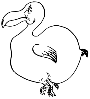 300x328 Dodo Bird Sketch - Dodo Bird Sketch