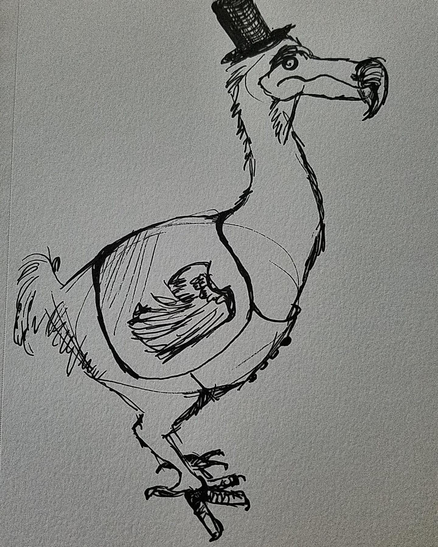 1440x1800 Dodo Sketch - Dodo Sketch