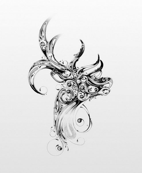 495x604 Doe Drawing Art Drawings - Doe Sketch