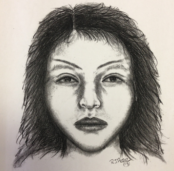 356x350 Image - Doe Sketch