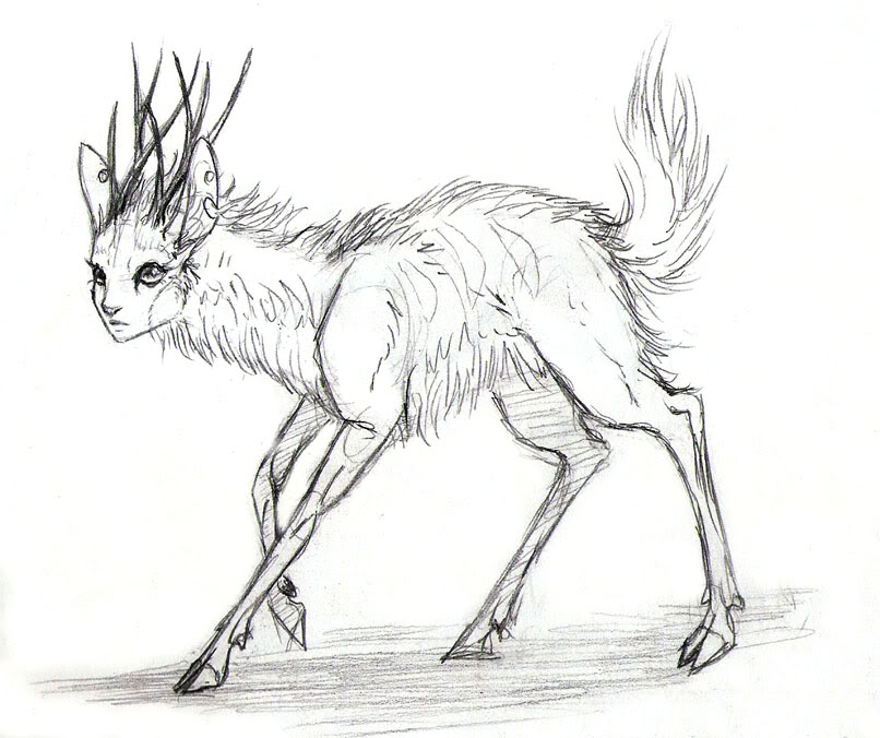 806x676 Drawings The Endless Forest - Doe Sketch