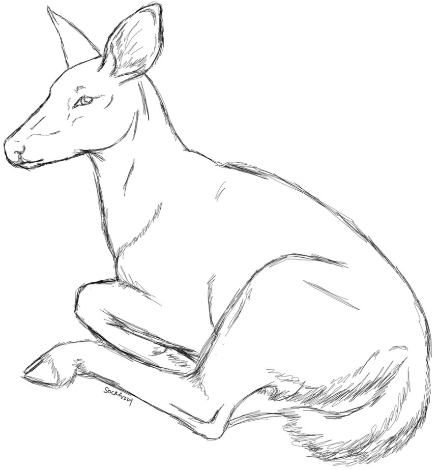 865x924 Doe Sketch 2 By Sockfuzzy - Doe Sketch